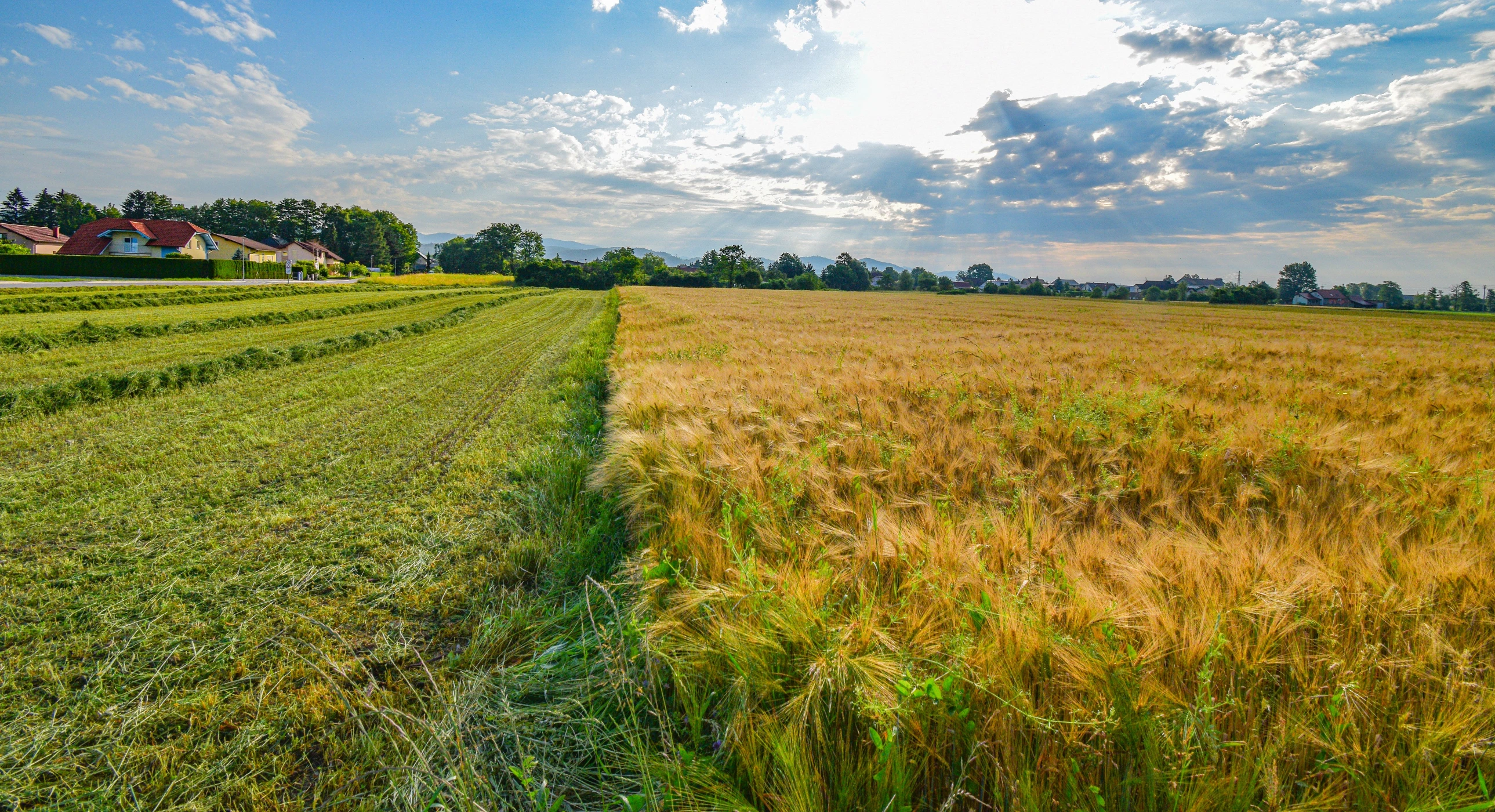 Le bail à ferme agricole, un régime à part