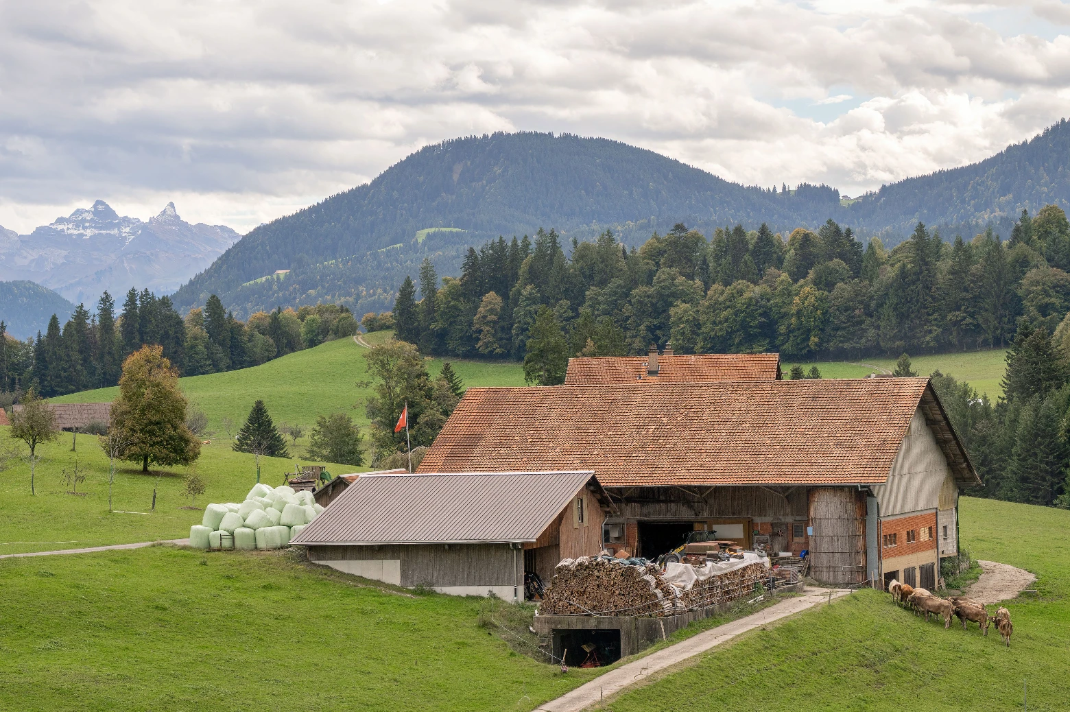 Le bail à ferme agricole, un régime à part