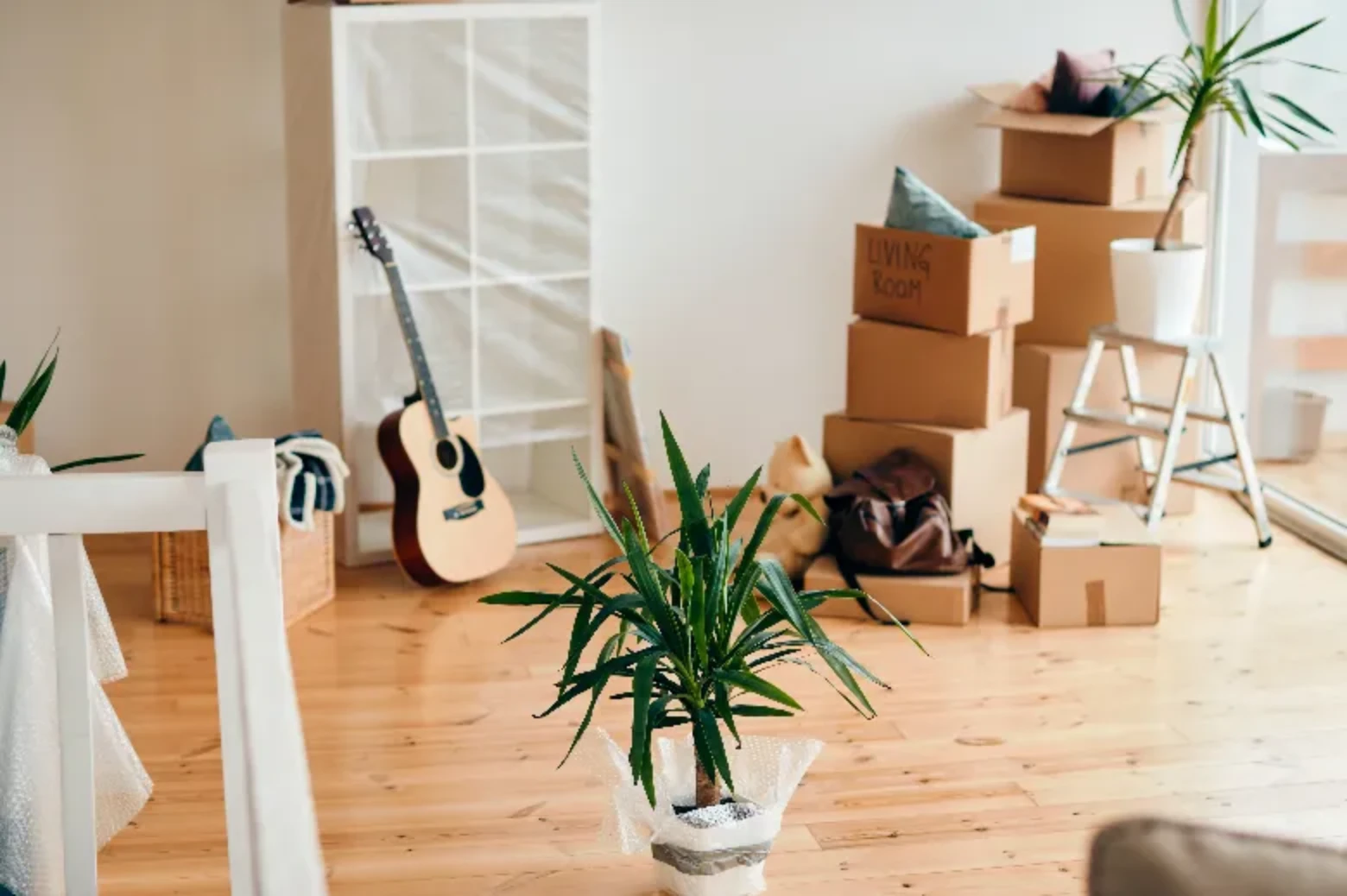 Vendre un appartement loué