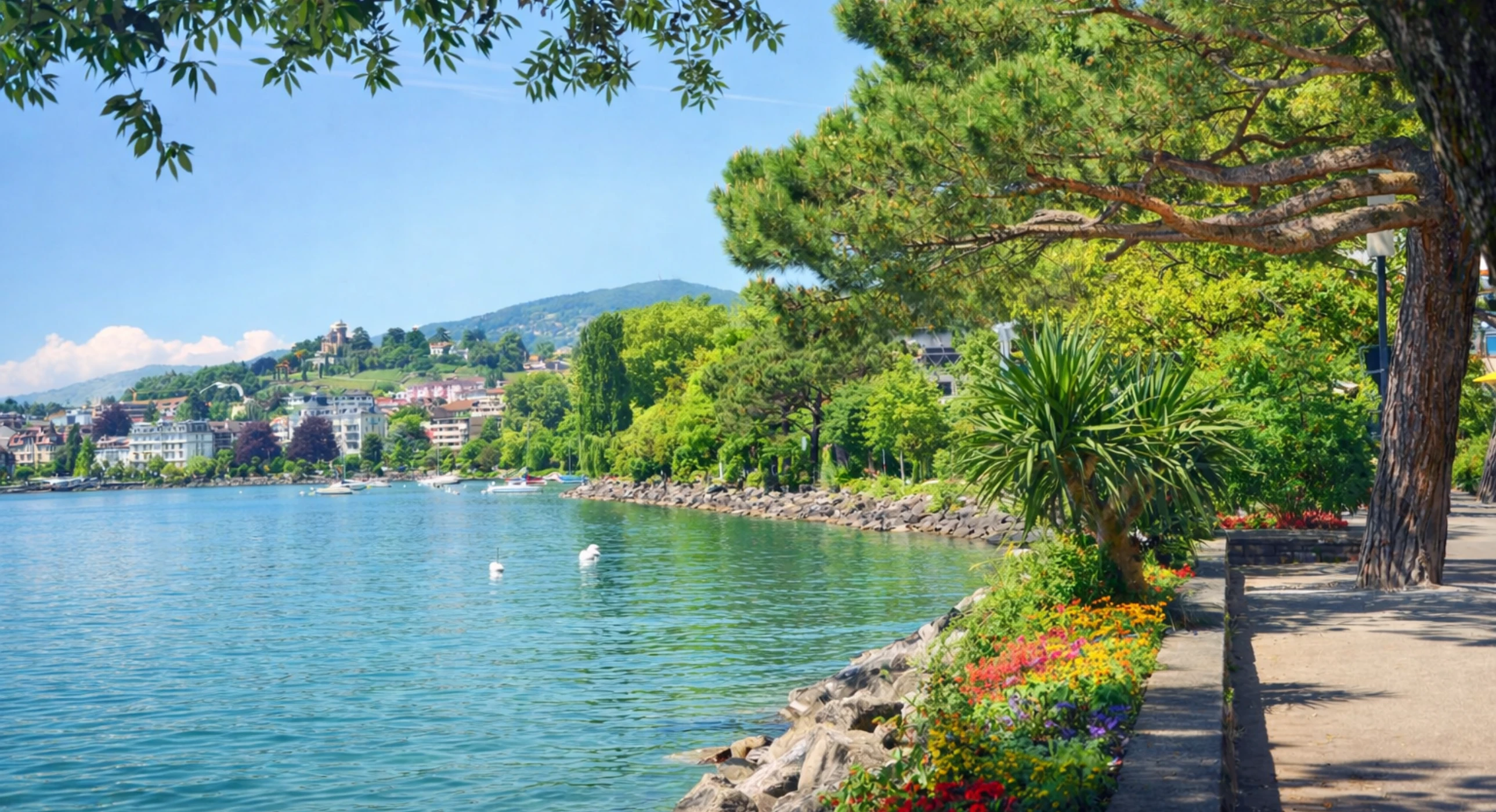 À la découverte de Montreux !